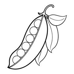 Aufkleber - Peas Coloring Book Page – Line Art Outline Drawing of Pea Pods and Seeds for Botanical Illustration