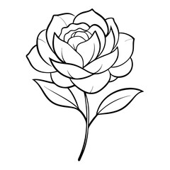 Aufkleber - Peony Flower Coloring Book Page – Line Art Botanical Drawing for Floral Illustration