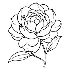 Aufkleber - Peony Flower Coloring Book Page – Line Art Botanical Drawing for Floral Illustration