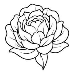 Aufkleber - Peony Flower Coloring Book Page – Line Art Botanical Drawing for Floral Illustration