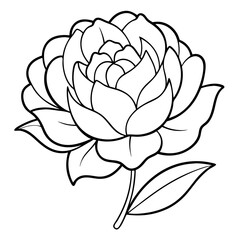 Aufkleber - Peony Flower Coloring Book Page – Line Art Botanical Drawing for Floral Illustration