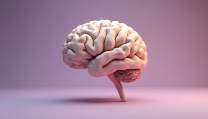 Poster - Three-dimensional rendering of human brain. Healthcare, neuron cell, science, researching, medical concept. Abstract illustration shows head intelligence anatomy.