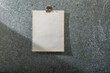 © Bidwell Studio - Blank torn out vintage graph paper on magnet board