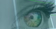 © vectorfusionart - Image of woman's green eye and fast scrolling digital information with white lines