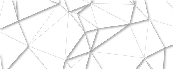 Canvas Print - abstract crystal modern background. grey triangular vector abstract background. geometric background