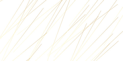Abstract background vector golden lines chaotic. Golden lines on White paper. Line wavy abstract vector technology line pattern background.