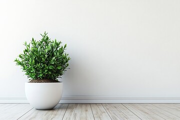 Aufkleber - Minimalist Interior Design Featuring Green Plant in White Pot Against Textured White Wall and Light Wood Flooring : Generative AI