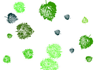 Wall Mural - set of green eco icons