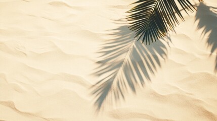 Wall Mural - serene tropical beach scene with soft palm leaf shadow casting delicate patterns on smooth, undulati