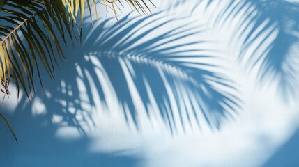 Wall Mural - tranquil palm leaf shadows dancing on a soft blue background, creating a serene and ethereal tropica