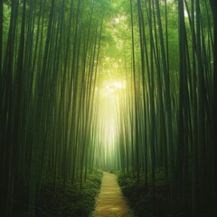 image of a tranquil bamboo forest bathed in early morning light isolated on a minimalistic backgroun