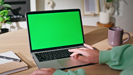 Wall Mural - Businesswoman browsing greenscreen laptop at workplace closeup. Unknown woman