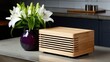 © kiran - A compact, light oak sound system box with horizontal slats on the front, placed on a polished concrete kitchen counter