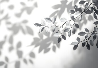 Aufkleber - Monochrome Leaves Branch with Shadow on White Wall Elegant Botanical Illustration Natural Light Minimalist Design Plant Decor Photography : Generative AI