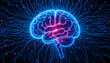 © Roman - A vibrant brain model illuminated in blue and pink hues showcases intricate digital connections. This striking visualization symbolizes the fusion of neuroscience and technology