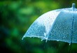 © Generative AI - Elegant CloseUp of a Rainy Umbrella Surrounded by Blurred Greenery in a Rainy Atmosphere : Generative AI