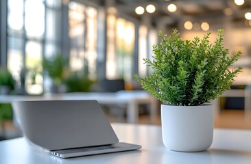 Fototapete - Modern Office Desk with Laptop and Plant Clean and Minimalist Workspace Natural Light Business and Productivity Interior Design : Generative AI
