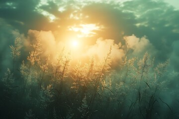 Aufkleber - Golden Sunrise Over Misty Meadow Serene Landscape with Wild Grass and Soft Light Perfect for Nature and Tranquility Themes : Generative AI