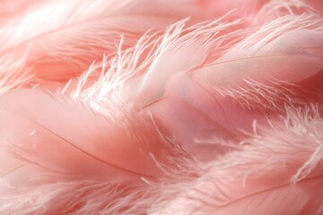 Poster - Macro Shot of Soft Pink Feathers Texture Gentle Pastel Background Ethereal Delicate Design Abstract Nature Beauty : Generative AI