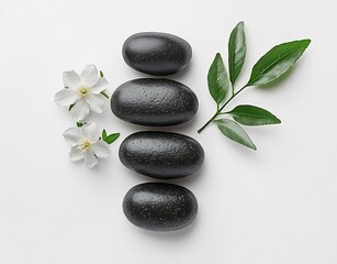 Poster - Zen Spa Still Life Black Stones White Flowers and Green Leaf on White Background Holistic Wellness Concept : Generative AI
