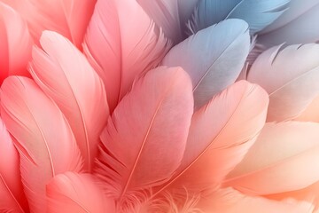 Poster - Pastel Feather Dream Macro Close Up Pink Peach Blue Gradient Delicate Plumes Abstract Nature Texture Background : Generative AI
