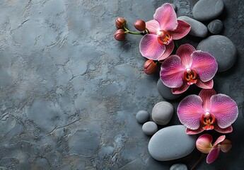 Aufkleber - Exquisite pink orchid blossoms with gray pebbles reflecting a serene and stylish aesthetic : Generative AI