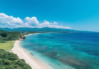 Leinwandbilder - beautiful beachside view featuring clear waters and lush coastline under scenic blue sky : generativ