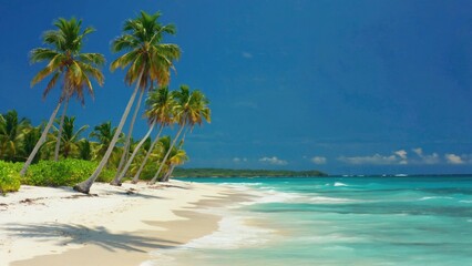 Wall Mural - A serene sandy beach scene with palm trees on a sunny day, perfect for use in travel or vacation-related projects