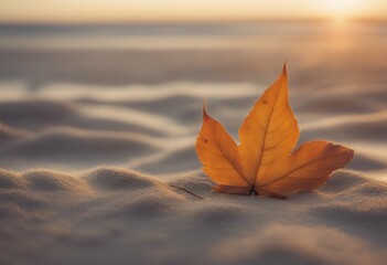 Wall Mural - leaf autumn sunrise cloudscape sand sea beautiful over shot landscape wave dawn sun morning sunset panoramic travel island gold sky cloud sunlight ocean background beach sunny scene water summer