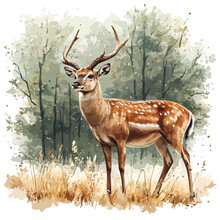 Bushbuck, watercolor illustration, isolated on a white background.

