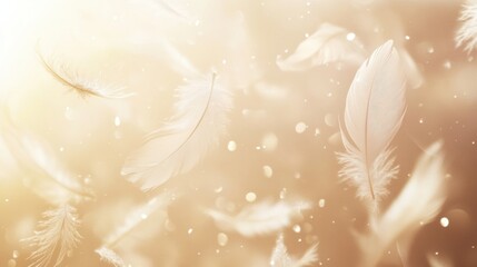 Leinwandbilder - Floating feathers and sparkles create a dreamlike atmosphere on creamy background with gentle, soft movement