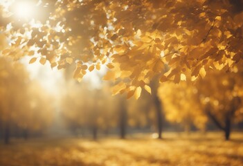 Wall Mural - sunshine golden scenery autumn lots colourful background panorama natural park countryside nature tr