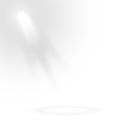 Wall Mural - vector transparent sunlight with sun glare. overlay, sun rays and glare, sun, sunrays, light transit