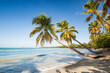 © Matteo Colombo - Les Salines tropical beach and sea, Martinique island, Caribbean