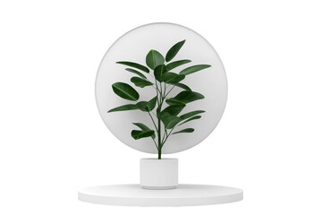 Poster - Minimalist plant display within a circular backdrop in an isolated setting created to enhance modern decor