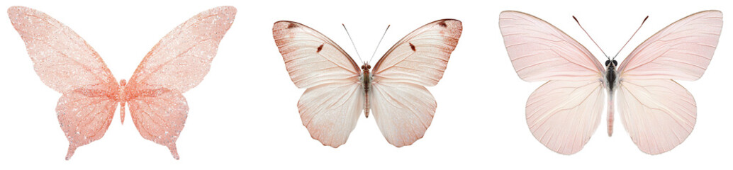 Poster - Minimalist isolated mockups of delicate butterflies showcasing soft colors and intricate wing patterns for design inspiration