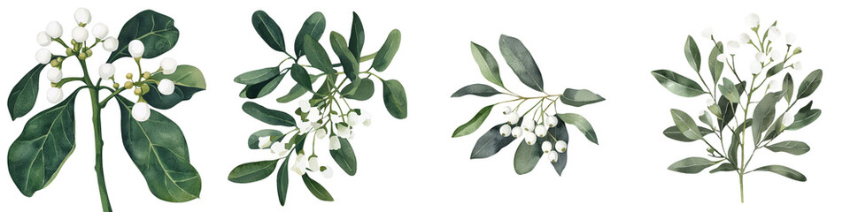 Poster - Isolated minimalist mockups of green leaves and white berries for decorative design and artistic inspiration