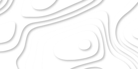Wall Mural - Stylish white abstract geometric pattern background, wave and curve abstract background. Abstract luxury white modern topography map circle and wave line smooth multilayer pattern 3d papercut.