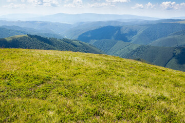 Wall Mural - rolling scenery with grassy alpine meadow. view to valley. scenic carpathian mountain landscape of b