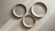 © AIArtistry - A flat lay of three differently sized plates on a background. View from above. Plates in natural colors. Plates featuring a textured grainy pattern.