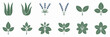 © muse - Simple icon set of medicinal plants including aloe vera and mint – Ideal for eco-friendly branding, health-focused content, or alternative medicine themes