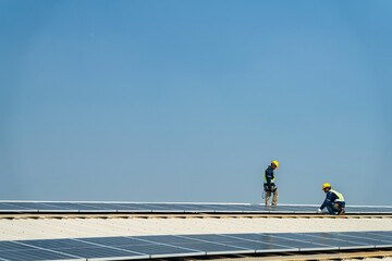 Wall Mural - team of professionals installs solar panels, ensuring energy efficiency and sustainable development.