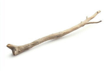 Isolated Natural Tree Branch on White Background for Rustic Designs