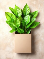 Wall Mural - Indoor plant flourishing in a cardboard box against a neutral, textured background