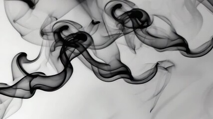 Poster - an abstract scene where dynamic black incense smoke 