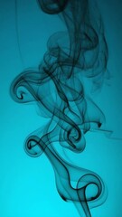 Poster - an abstract scene where dynamic black incense smoke 