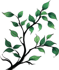 Delicate  hand drawn illustration of a slender tree branch with white background