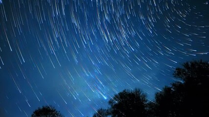 Wall Mural - milky way star-trails timelapse video with countryside tree silhouettes.