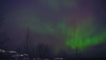 Wall Mural - aurora borealis, polar lights with milky way stars.