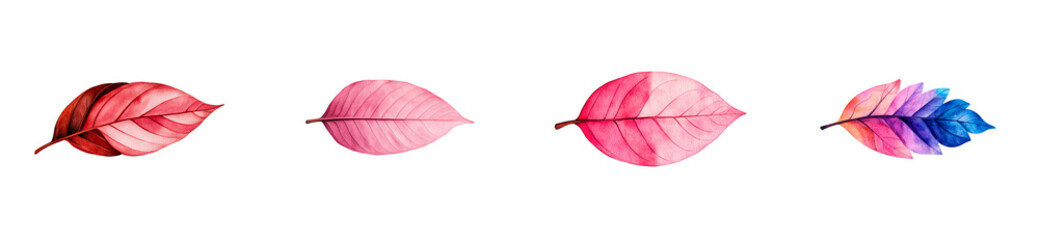 Wall Mural - Colorful foliage illustration, autumn leaves set, isolated design elements, cut out transparent